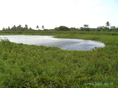 Isla Salamanca